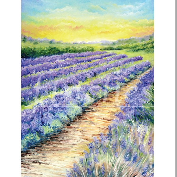 Lavender Fields of Kent - Blank Greeting Card