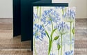 Concertina Photo Albums