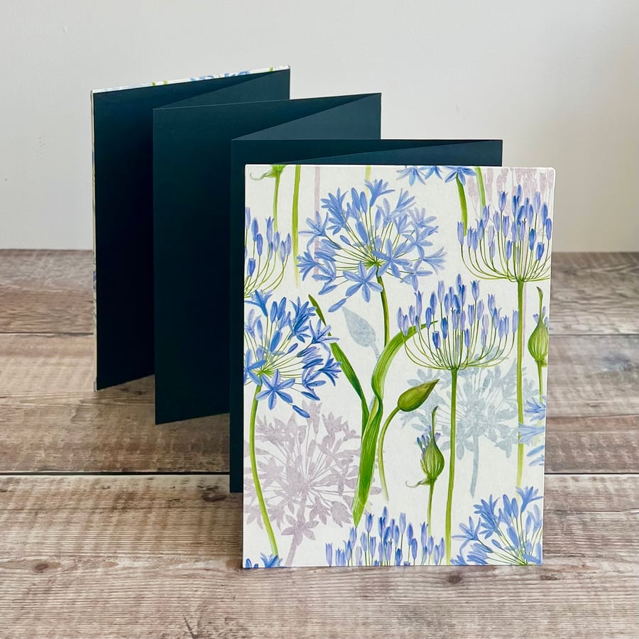 Concertina Photo Album featuring Agapanthus