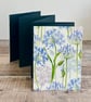 Concertina Photo Album featuring Agapanthus