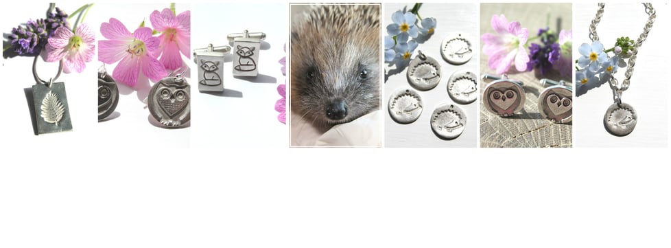 Little Silver Hedgehog