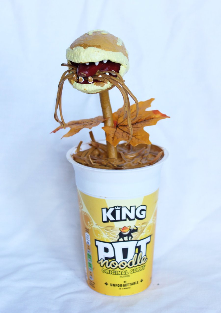 Pot Noodle Plant (Curry)