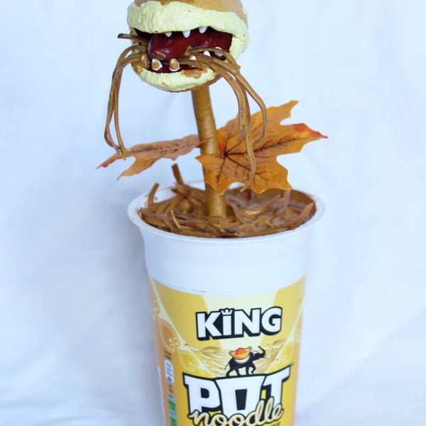 Pot Noodle Plant (Curry)