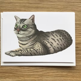 Egyptian Mau Cat blank greeting card