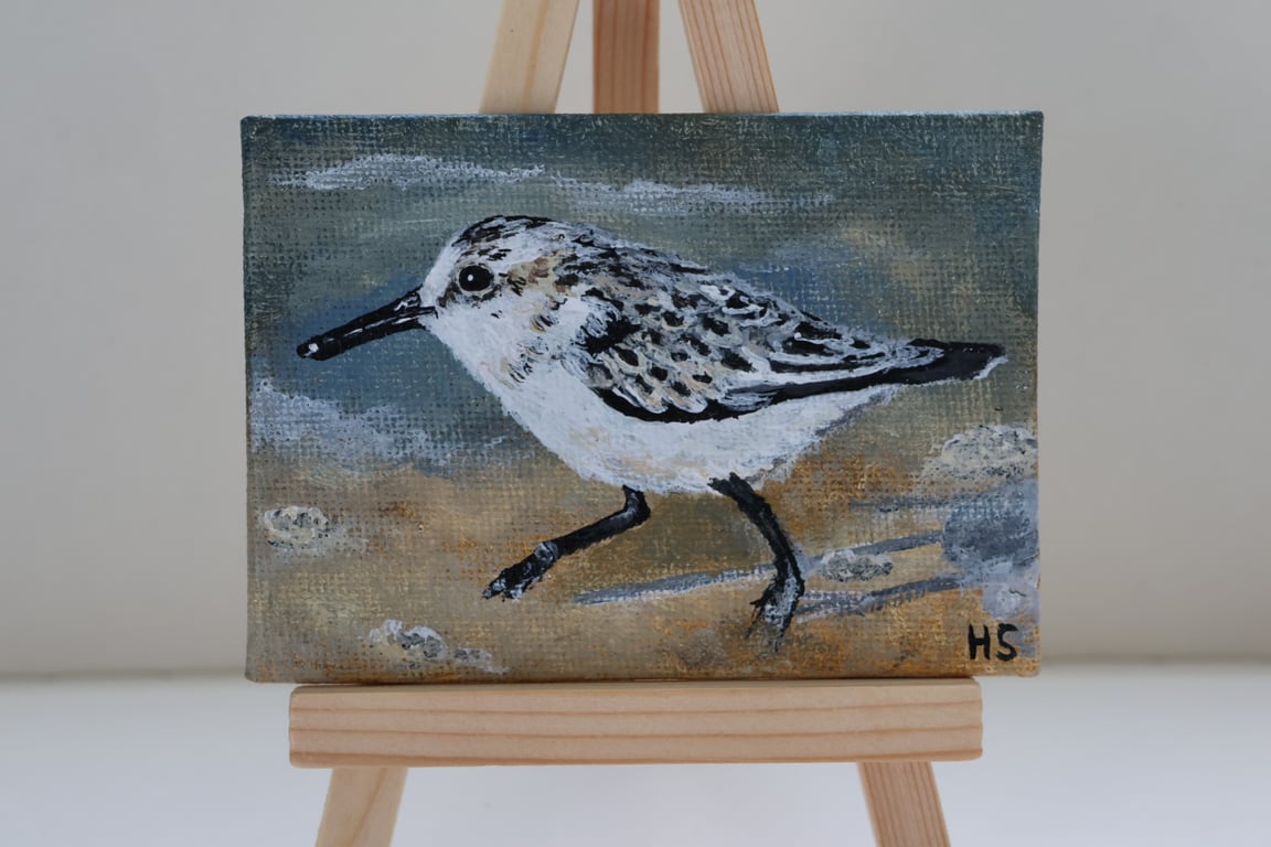 Sanderling Mini Painting