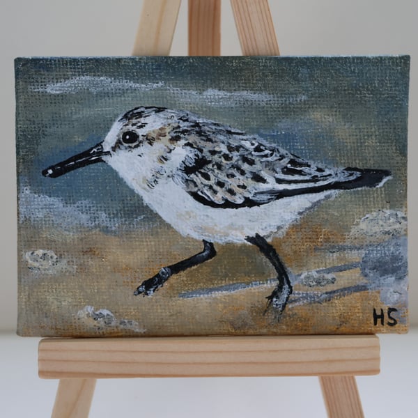 Sanderling Mini Painting