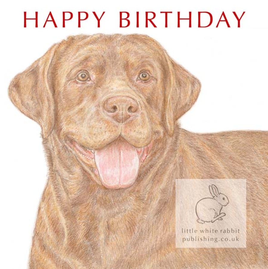 Bruno the Chocolate Labrador - Birthday Card