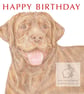 Bruno the Chocolate Labrador - Birthday Card - Image 1