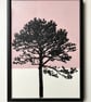 Phoenix Pine no.84, hand drawn and painted, original artwork, A4, Pink