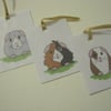 Guinea Pig Gift Tags