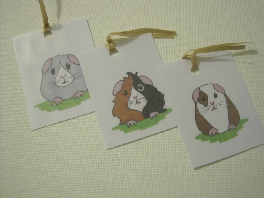 Guinea Pig Gift Tags
