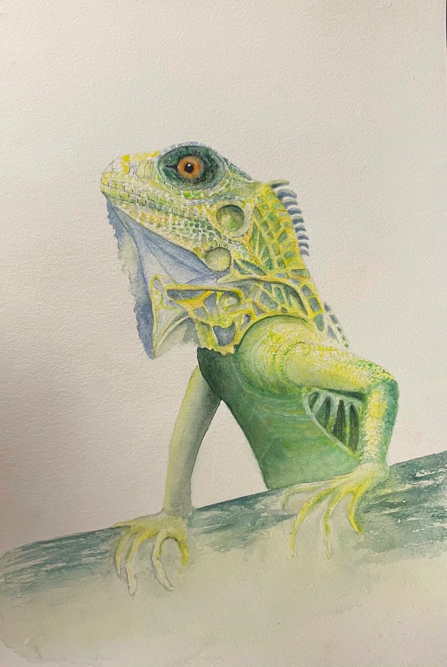Original Watercolour - Lizard