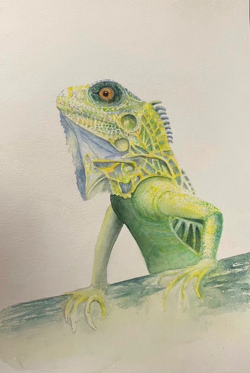Original Watercolour - Lizard