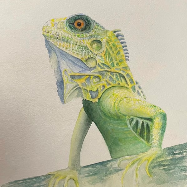 Original Watercolour - Lizard