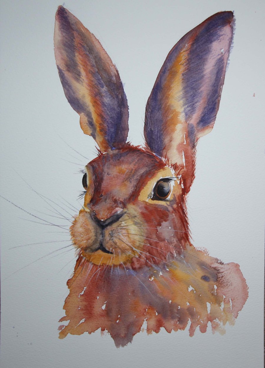 Hare portrait, original watercolour