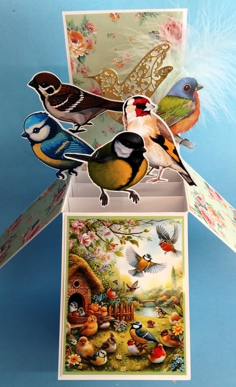 Ladies Birthday Card With Garden Birds
