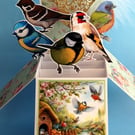 Ladies Birthday Card With Garden Birds
