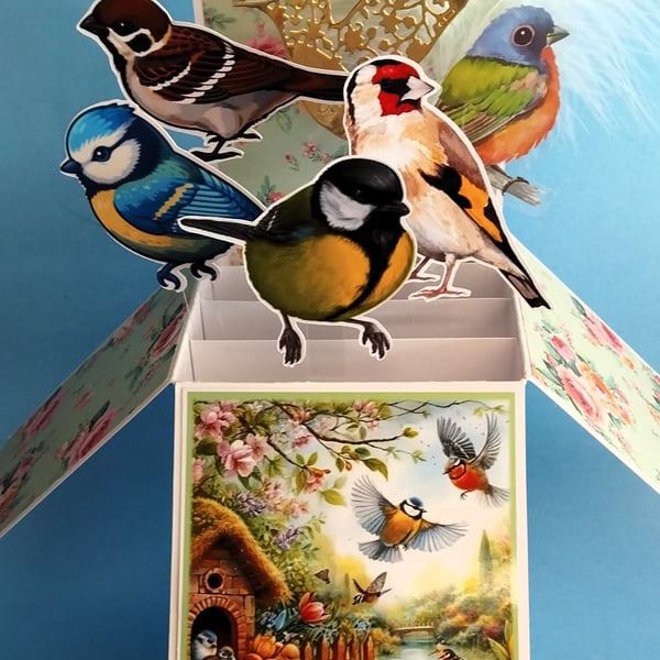 Ladies Birthday Card With Garden Birds