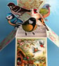 Ladies Birthday Card With Garden Birds