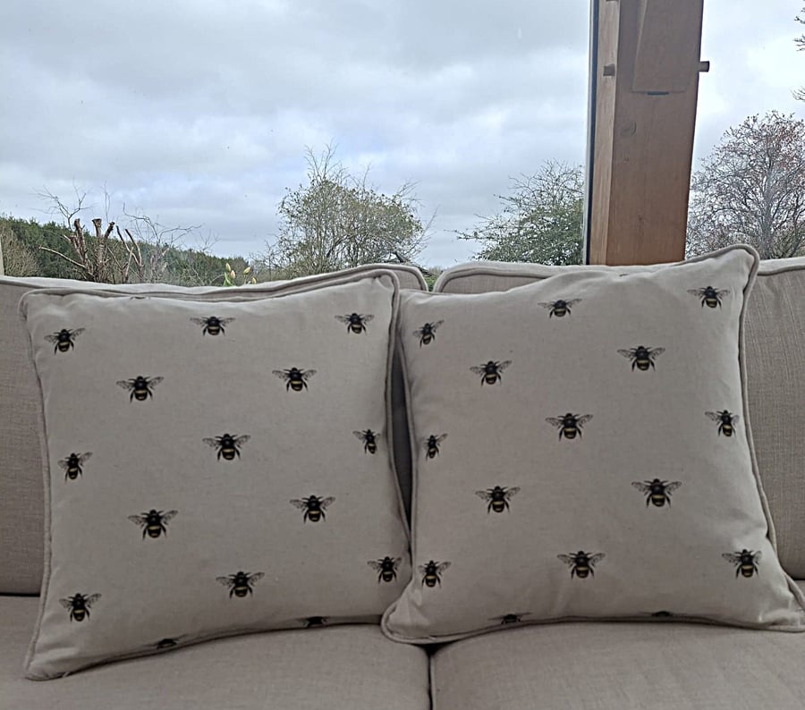 Pair of cushions with bee pattern front
