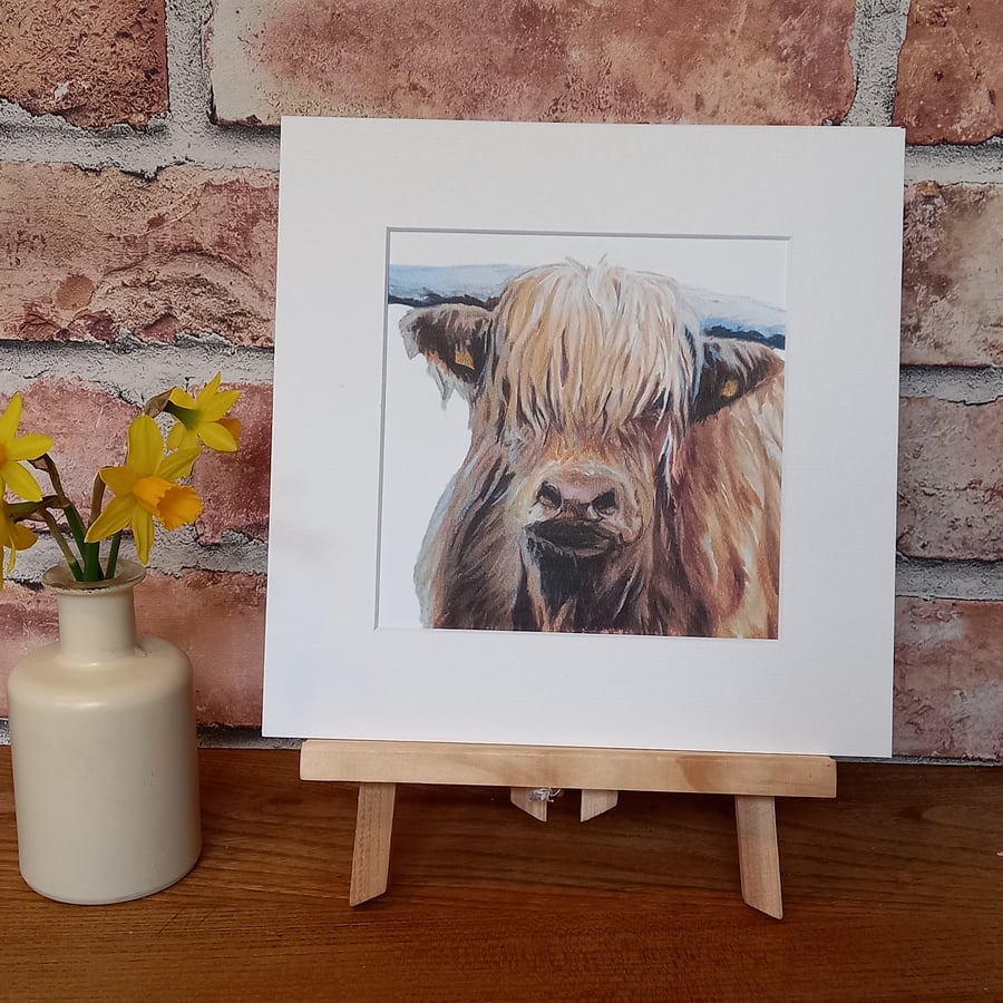 Highland Cow mounted art print