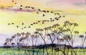 Landscape & Seascape Watercolours