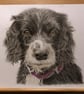 A3 Custom Pet Portrait made with Coloured Pencil - Image 5