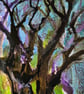 "Where the trees listen"    - Image 6