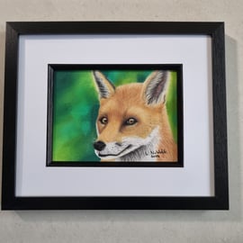 Red Fox vixon Fine art pastel painting Original artwork not a print. 