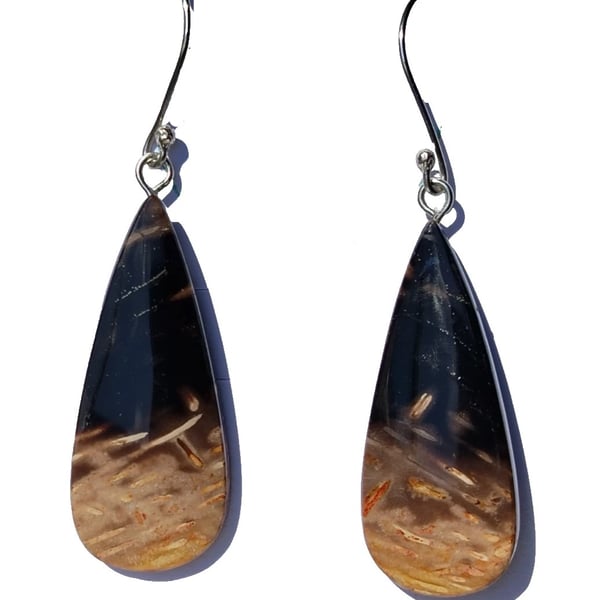 Petrified Palm Root Earrings Sterling Silver 925 Jewellery Gift Fossilised Wood