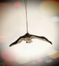 Storybook Raven - MADE TO ORDER - Image 9