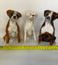 Personalised Boxer Dog salt and pepper shaker set. - Image 4
