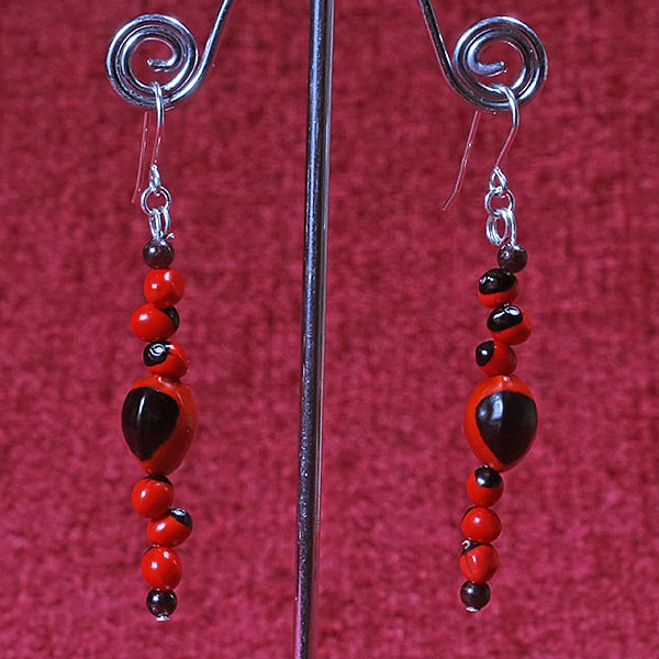 Ecuadorean Seeds Earrings.