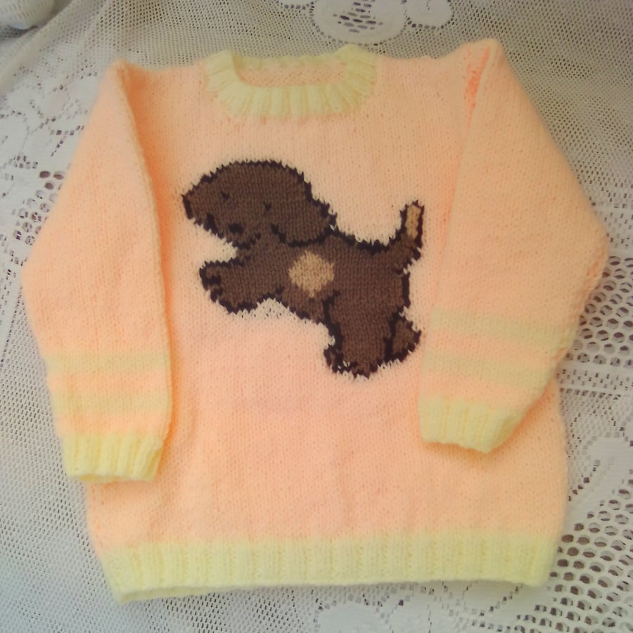 Jumper for Babies and Children to 5 with Puppy Motif, Birthday Gift, Baby Gift 