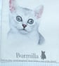 Ocicat, Somali, Burmilla and Norwegian Forest cats portraits cushion  - Image 4