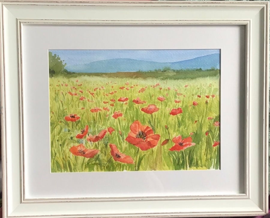 Field of Poppies, original Watercolour, framed 17” x 21”