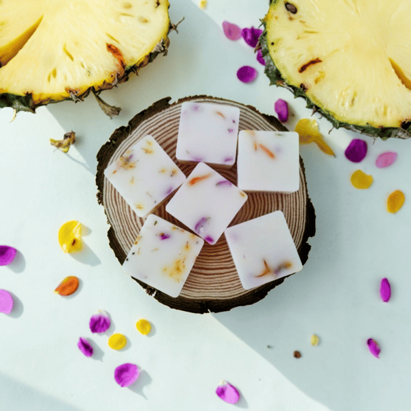 Coconut & Pineapple Botanical Soy Wax Melts - Scented Wax Melts - Handmade