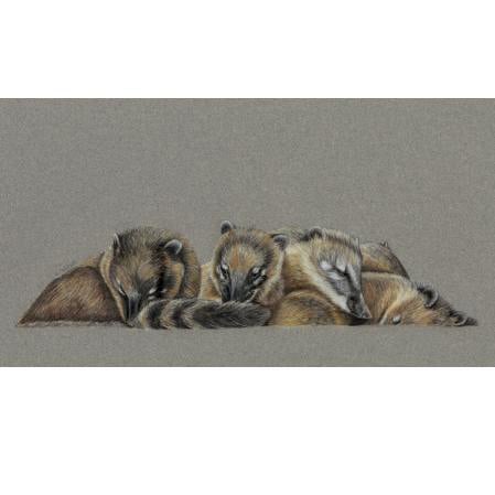 Coati Cuddle Fine Art Print
