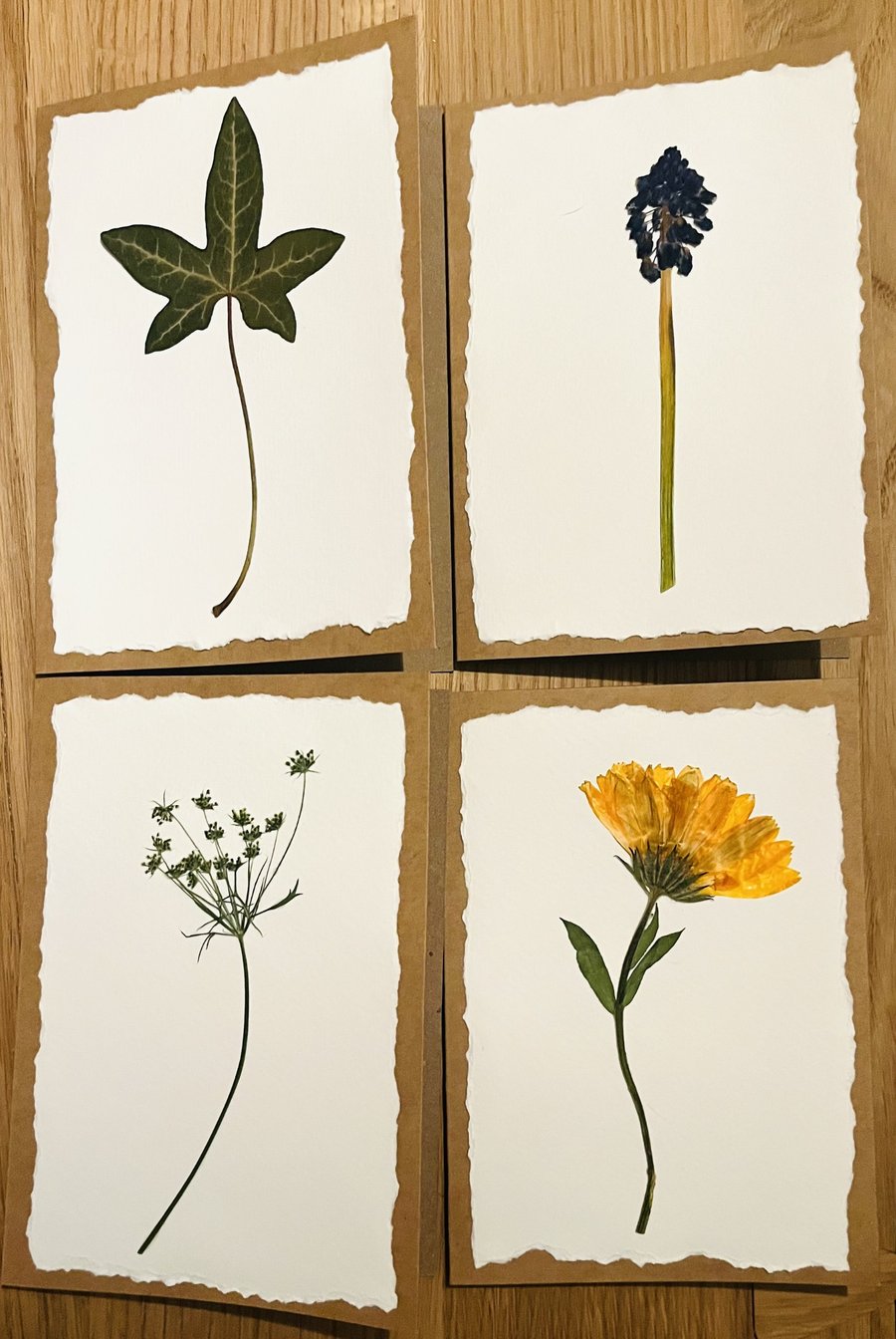 Real Pressed Flower Cards - set of four