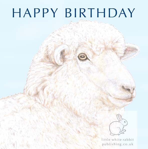 Woolly Sheep - Birthday Card