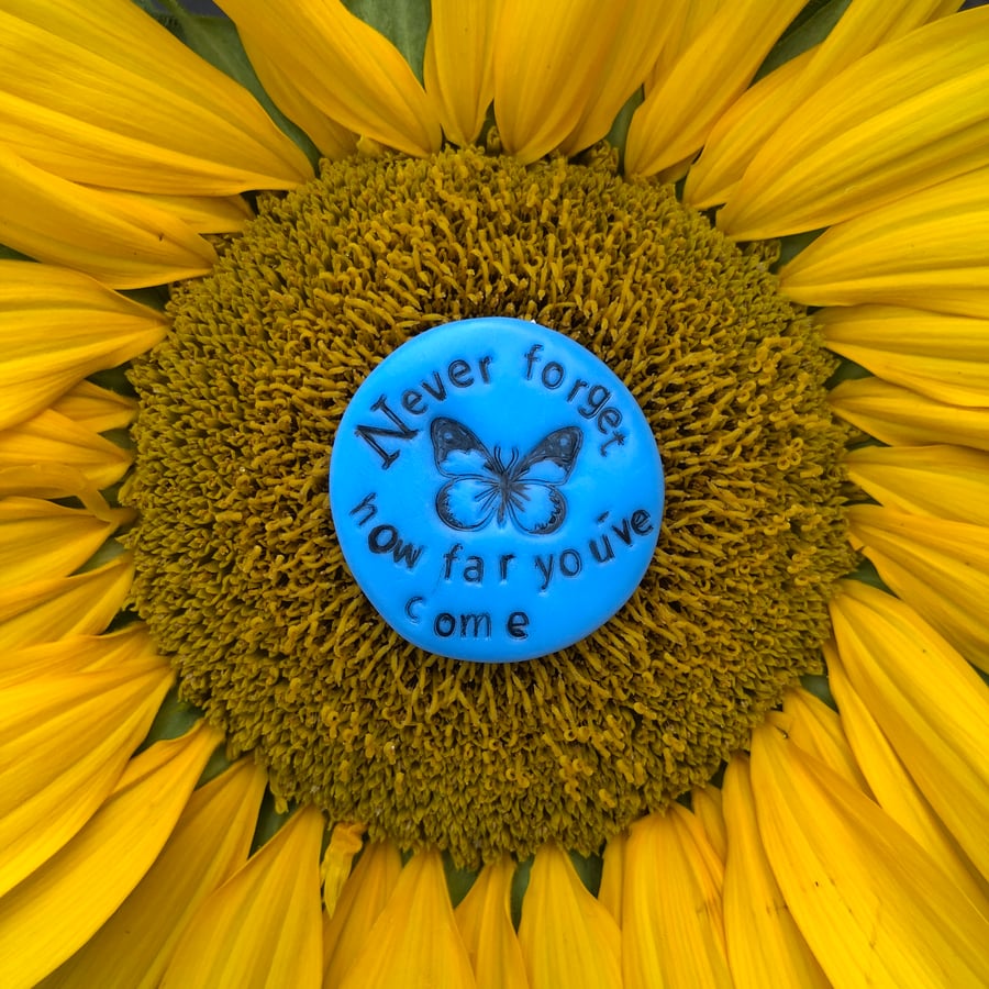 Never forget how far you’ve come, Pocket Pebble