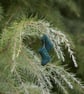 Handmade Felted Wool Christmas Stocking Ornaments - Image 1