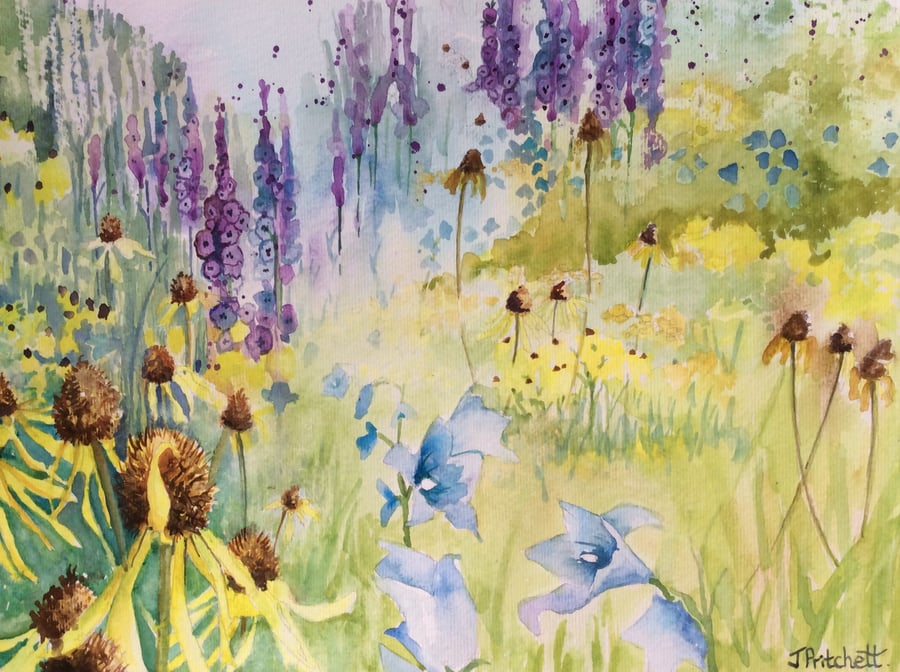 Daisies and foxgloves 