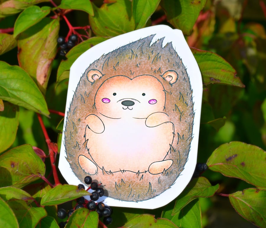 Hedgehog Card, Blank Greeting Card