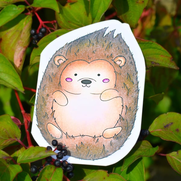 Hedgehog Card, Blank Greeting Card