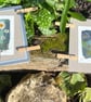 Original ready-mounted cyanotype print of meadow plants - Image 3