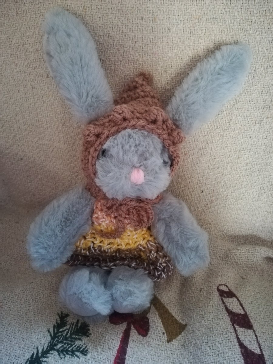 Bunny with Crochet Outfit 