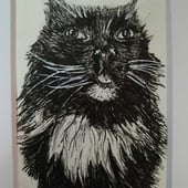 Pet Portraits By Lauren