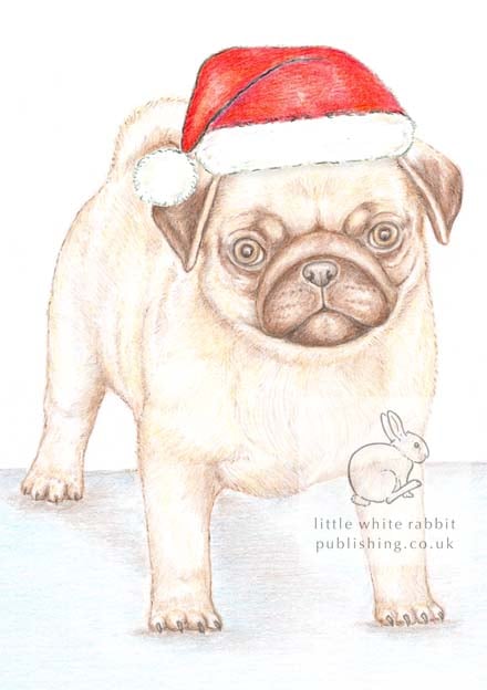 Titus the Pug - Christmas Hat Card