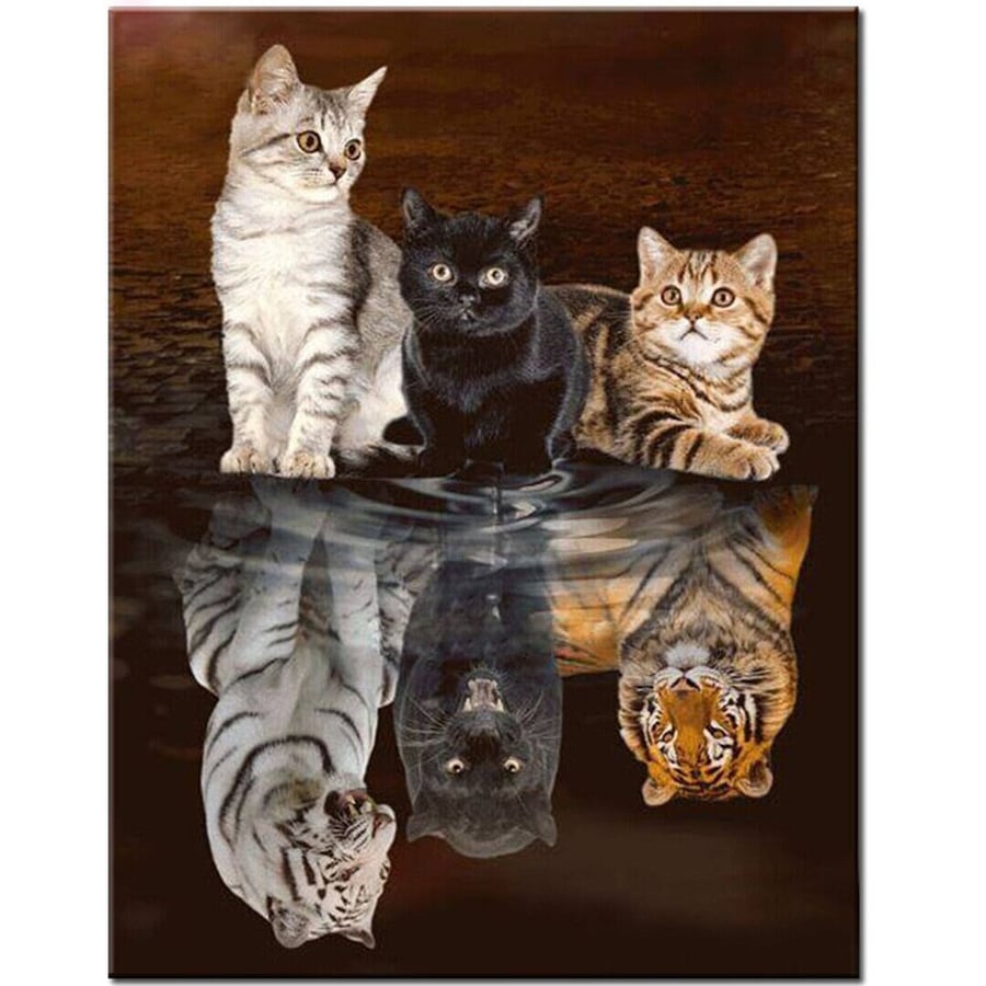 5D DIY Kittens in Reflection Diamond Art Painting for Adults & Kids 40 x 30cm, R